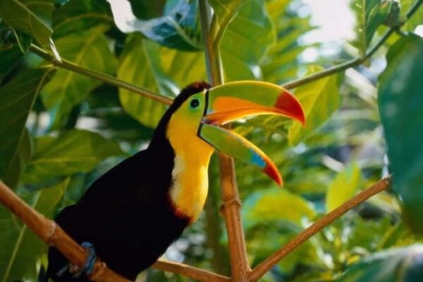 Ecuador celebró su riqueza natural con una gran agenda de actividades